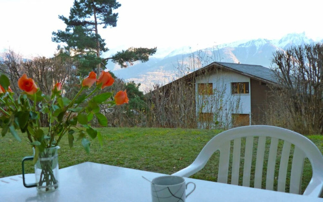 Ch Tillon C 16 Leytron