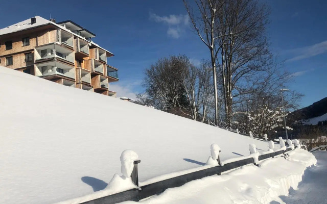 Apartment SCHLADMING - Planai view