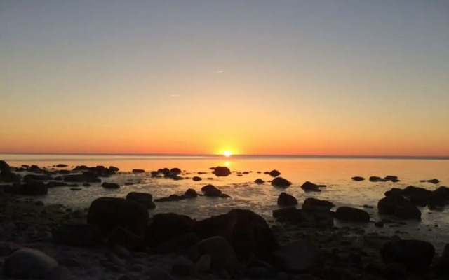 Red-throated Diver Modern Retreat