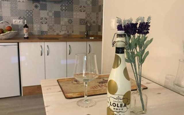 Hotel Boutique Albussanluis