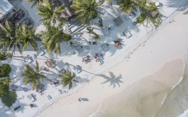 Delek Tulum