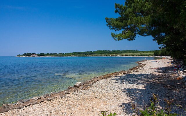 Camping Kastanija 16826