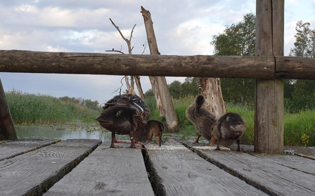 FEWO Im alten Fachwerkhaus