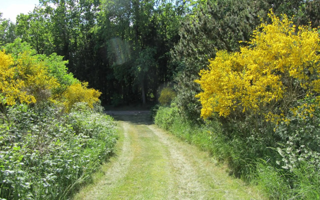 Holiday Home Holmehøj