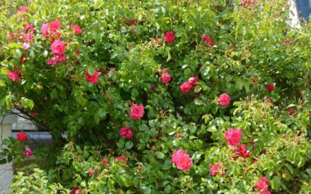 Happy Acre B&B