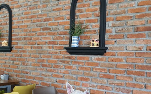 Ginger Bread House - Pet Lover Resort