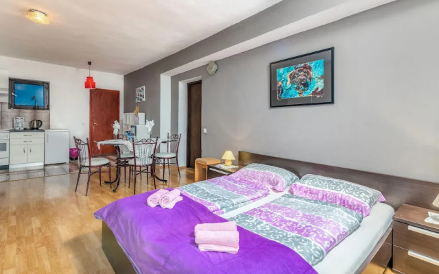 Stunning Apartment in Stara Baska With Wifi