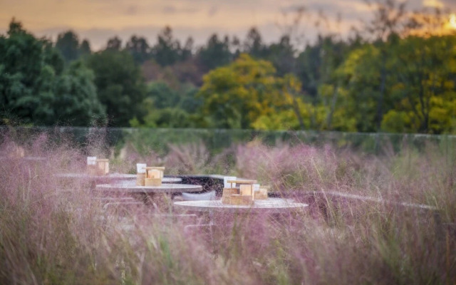 Hotel Indigo Anji by IHG