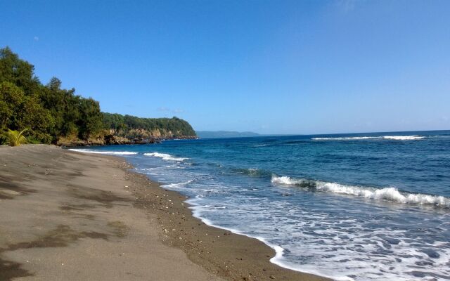 Friendly Beach