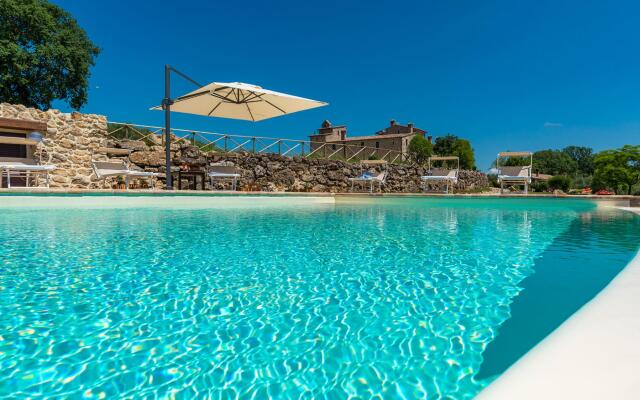 Santa Illuminata 20 12