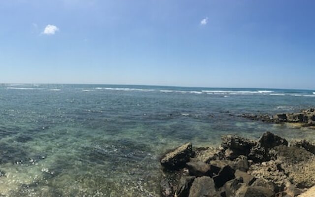 Polhena Sea View