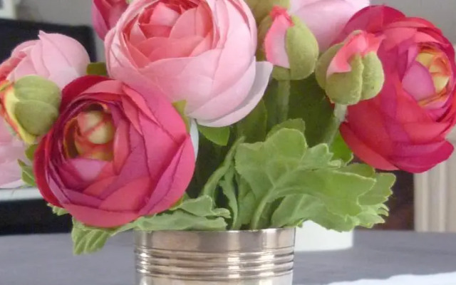 Chambres dhôtes Les Jardins De La Cathédrale