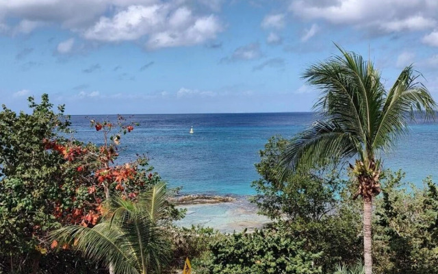 Great Condo in Cozumel OCEAN FRONT D10