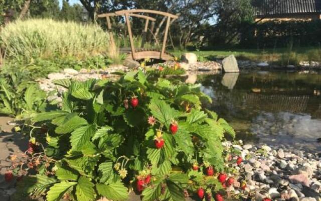 Guest House Semeiniy