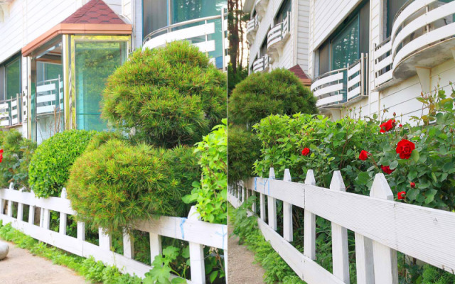 Yangyang Wink Pension