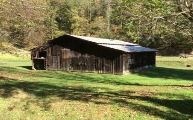 Country Road House and Berries