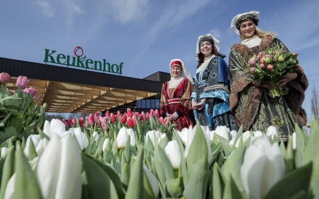 Villa Suisse Bed & Breakfast