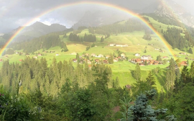 B Rgchutzli 1 Stock Adelboden