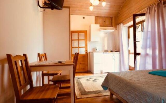 Apartament w Pieninach