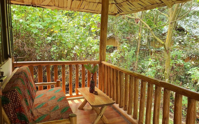 The Gorilla Resort