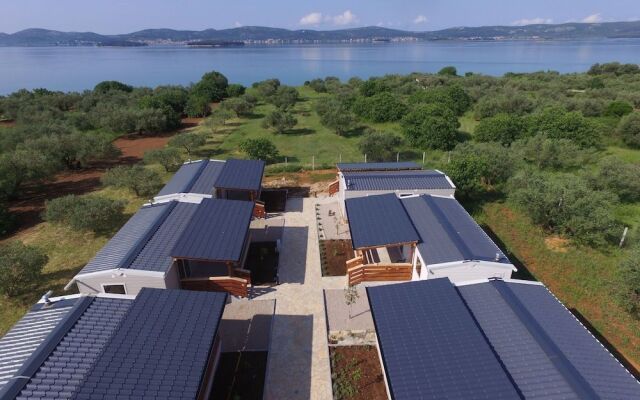 Mobile Home Septarian