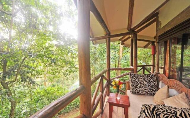 Gorilla Safari Lodge