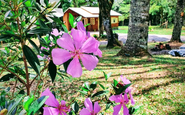 Sitio Recanto Feliz