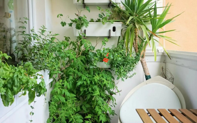 Jana's apartment, free parking