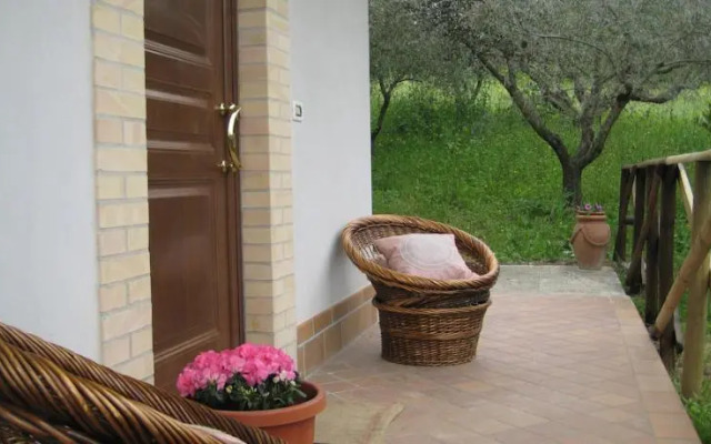 La Selva dellAmpolla