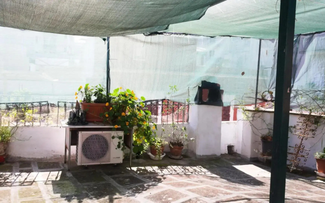 La casa della pecora nera