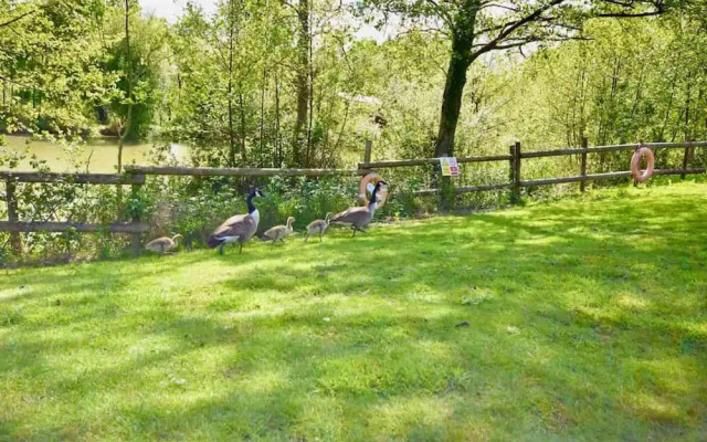 Carpenters Lodge the Perfect dog Friendly Retreat