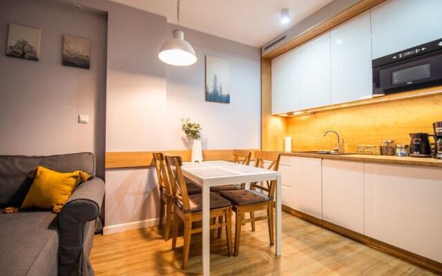 City Lights Kazimierz