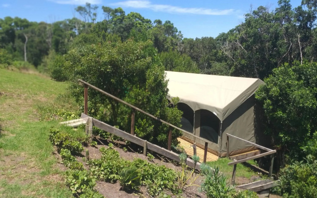Forest Edge Glamping