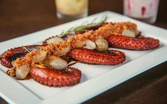 Reserva de Tatuamunha