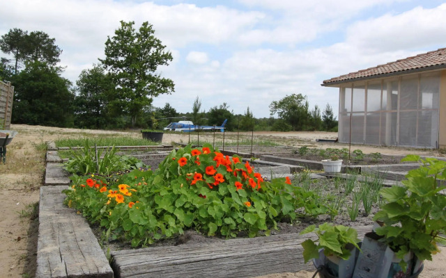 Au Ptit Creux Des Landes