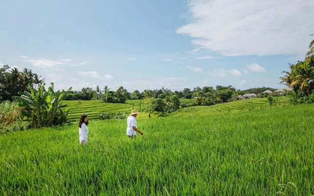 Royal Nyanyi Villa
