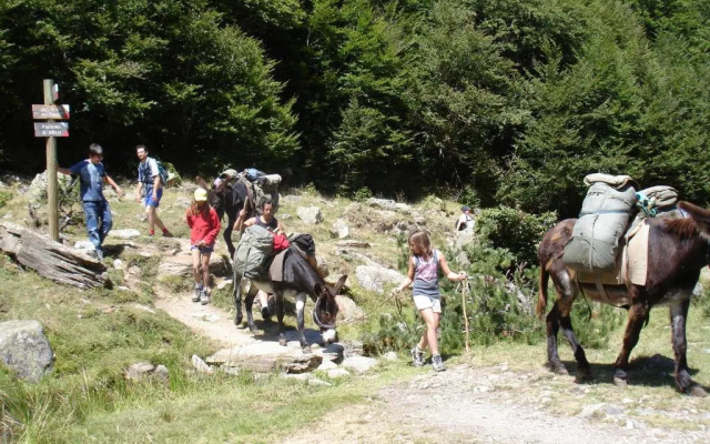 Les Feiches et Marguerites