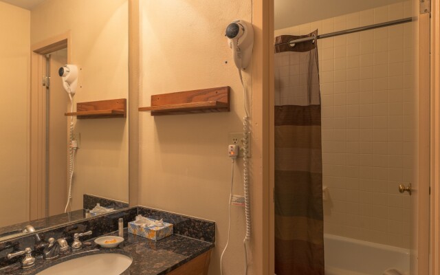 Mountain Chalet Snowmass