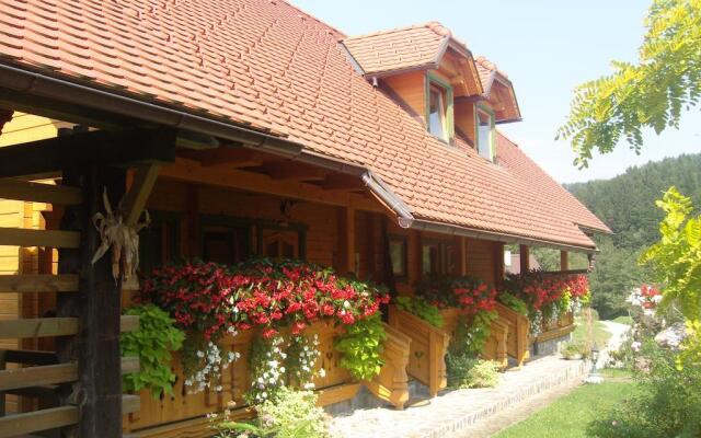 Apartments and wellness center Korošec