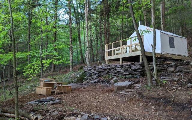 Tentrr - Birdwatcher