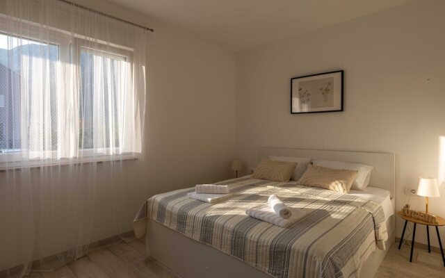 Apartment Why Not
