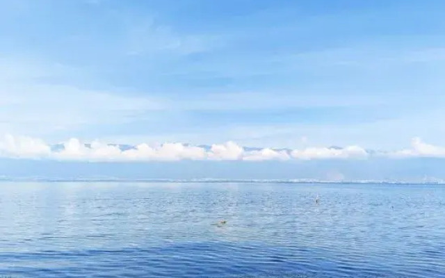 Bohai Boutique Seaview Courtyard