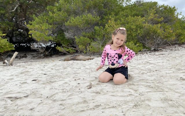 Maidith White Cove Hotel