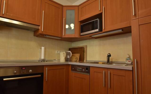 Modern Apartment in Podebrady Near River