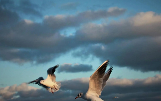 Apartament z prywatnym, krytym basenem