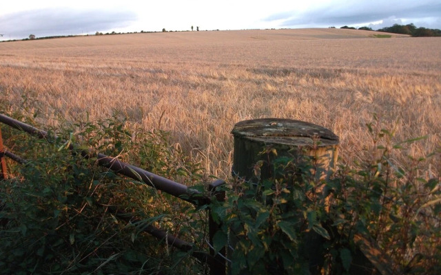 The Granary
