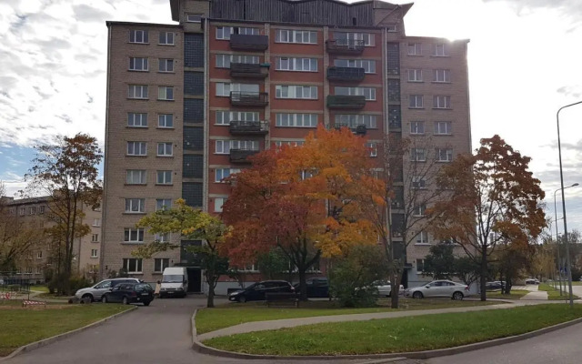 Apartament Erfolg 3