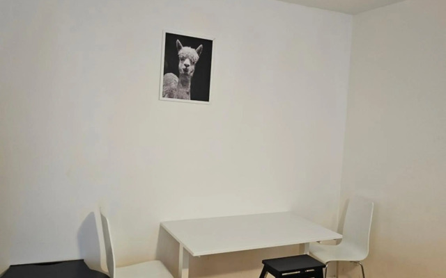 Comfortable 1 bedroom apartment in Helsinki