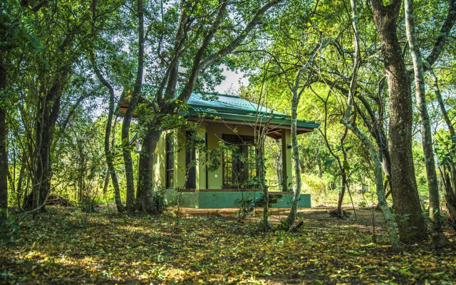 Yala Edge Camping