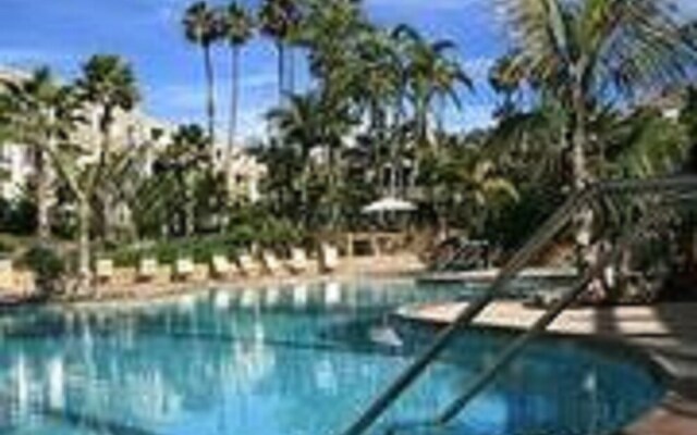 Panoramic Perfection